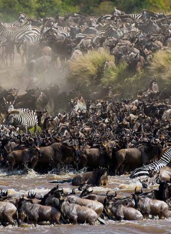 great migration 1